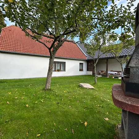 Na Konci Sveta Svetla * Studena